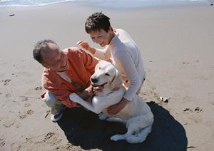 動物病院では予防歯科と治療の両方を行う