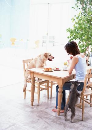 ペット保険はニーズに合わせて補償を選ぶ