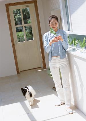 ノルウェージャン専門のブリーダーは安心