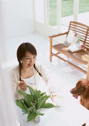 旭川市の信頼の動物医療を提供！緑の森どうぶつ病院 旭神センター病院の全貌と特徴紹介