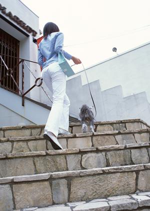 シロアリ駆除の専門アサンテ｜即日対応 & 土日祝も対応、安心の実績と安心価格