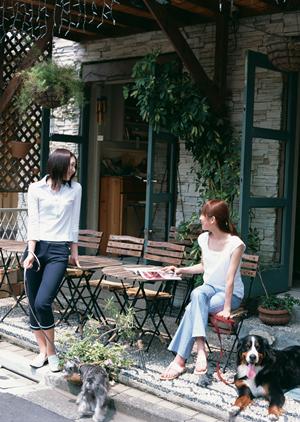 愛犬の健康を守るためのロイヤルカナン療法食完全ガイド：適切な選び方と栄養のポイント